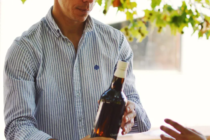 touring the douro valley