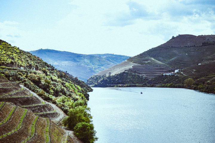 Douro River Cruise
