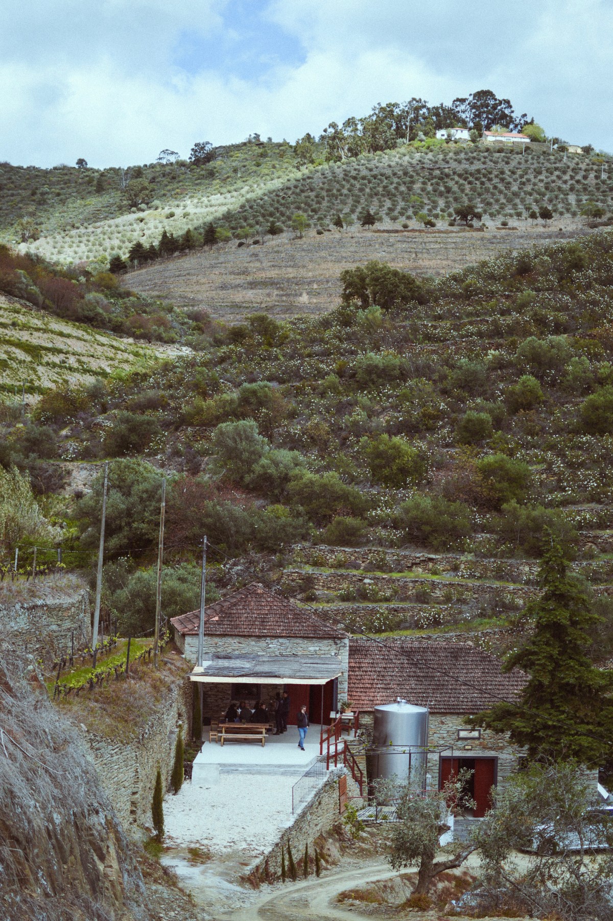 Douro Wine tour Winery