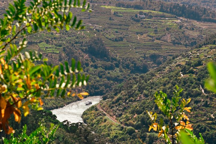 Douro Wine Valley